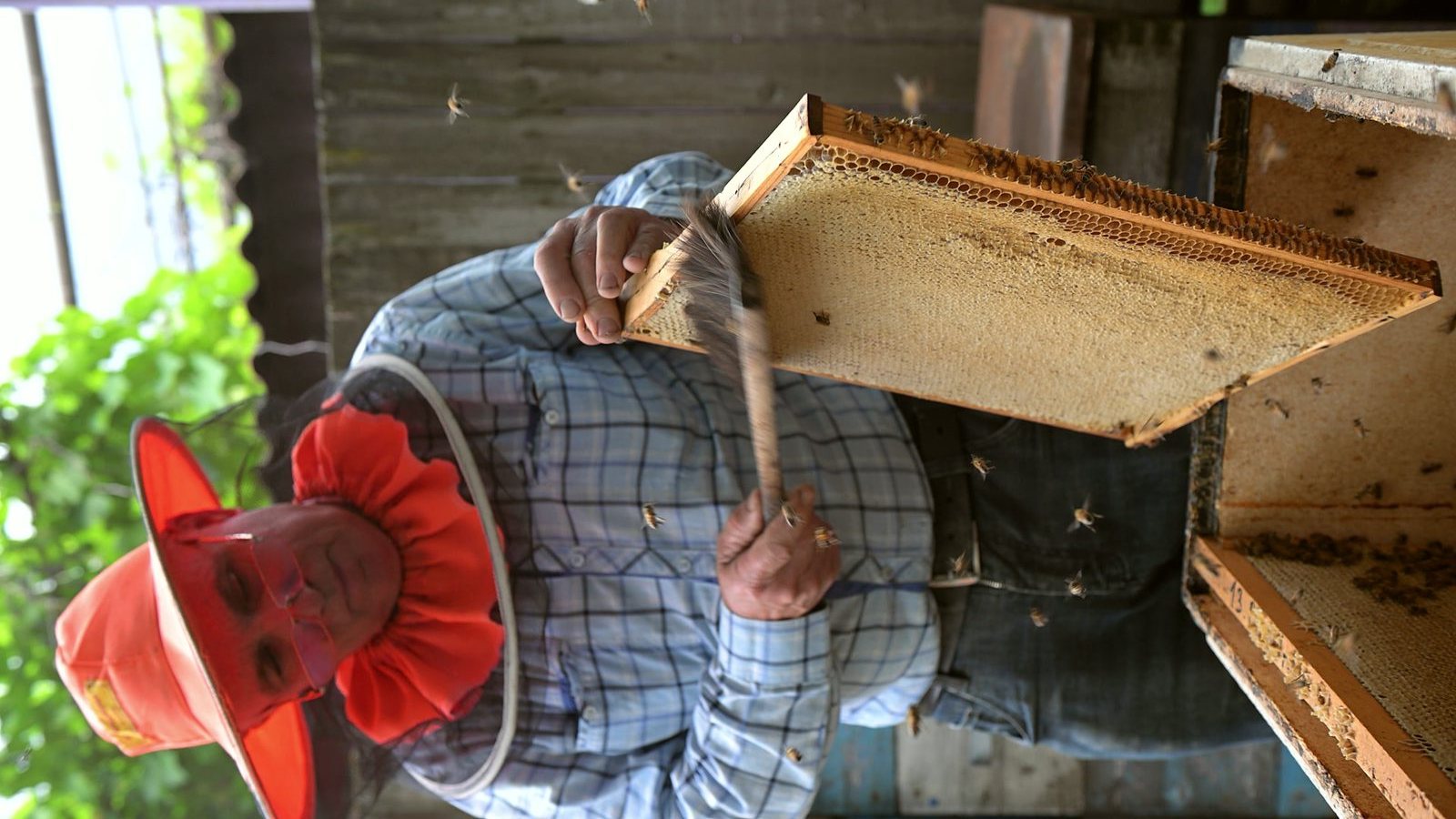 Достаёт рамку