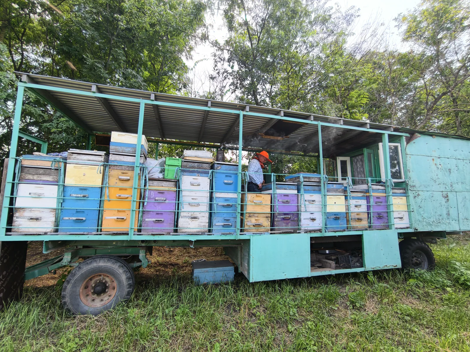Кочевая пасека с цветными ульями